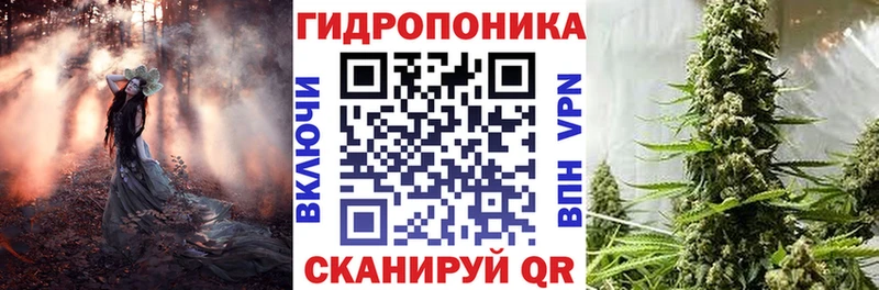 Канабис индика  где купить   Белая Холуница 